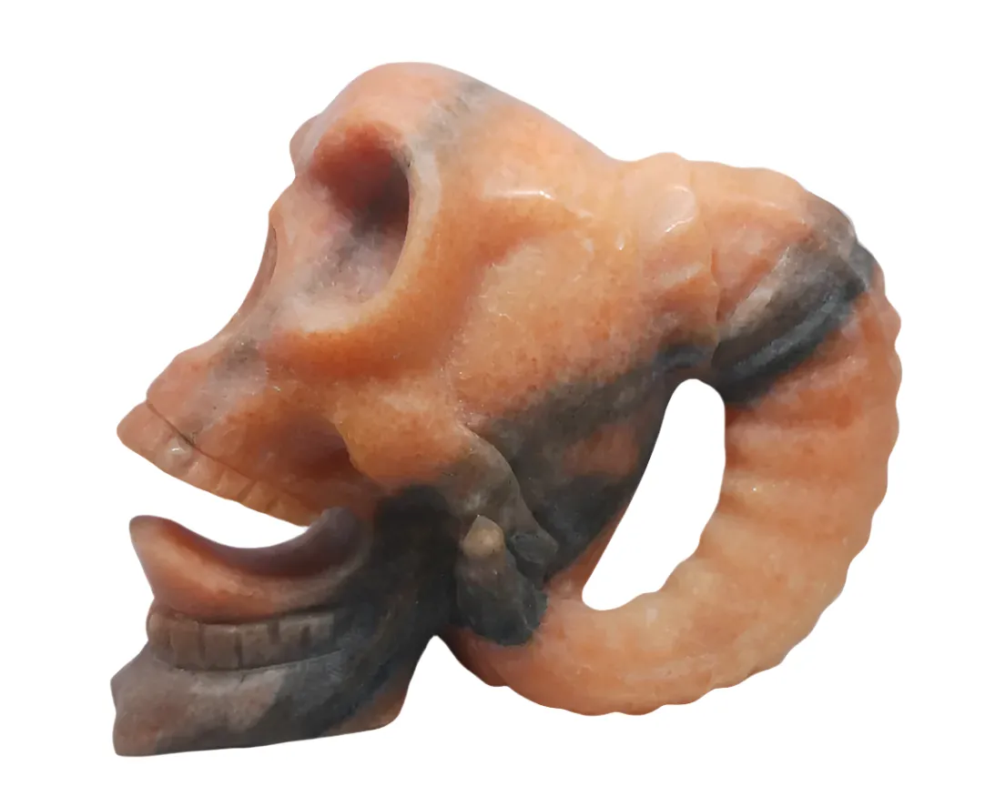 3.8lbs Sunstone Crystal Horned Skull