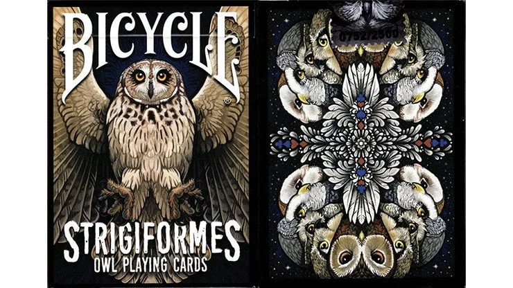 Bicycle Strigiformes Owl