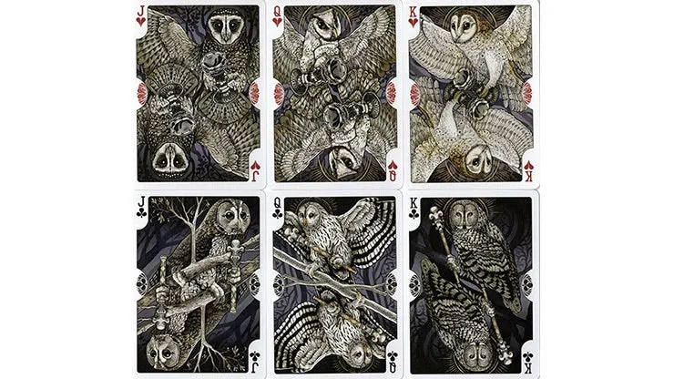 Bicycle Strigiformes Owl