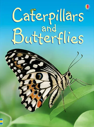 Caterpillars & Butterflies Beginners Series