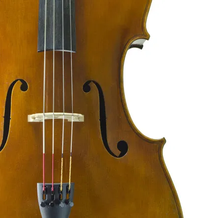 David Yale Cello Outfit