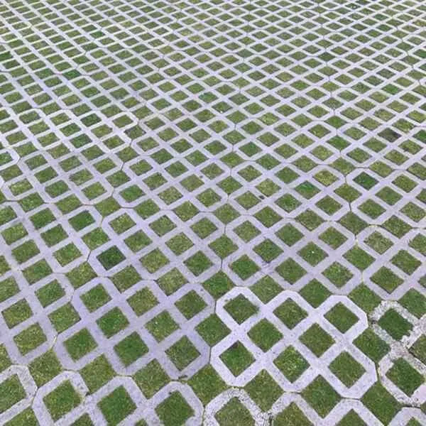 Hexipath Gridding Grass Seed
