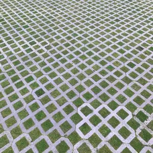 Hexipath Gridding Grass Seed