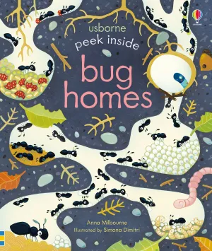 Peek Inside Bug Homes