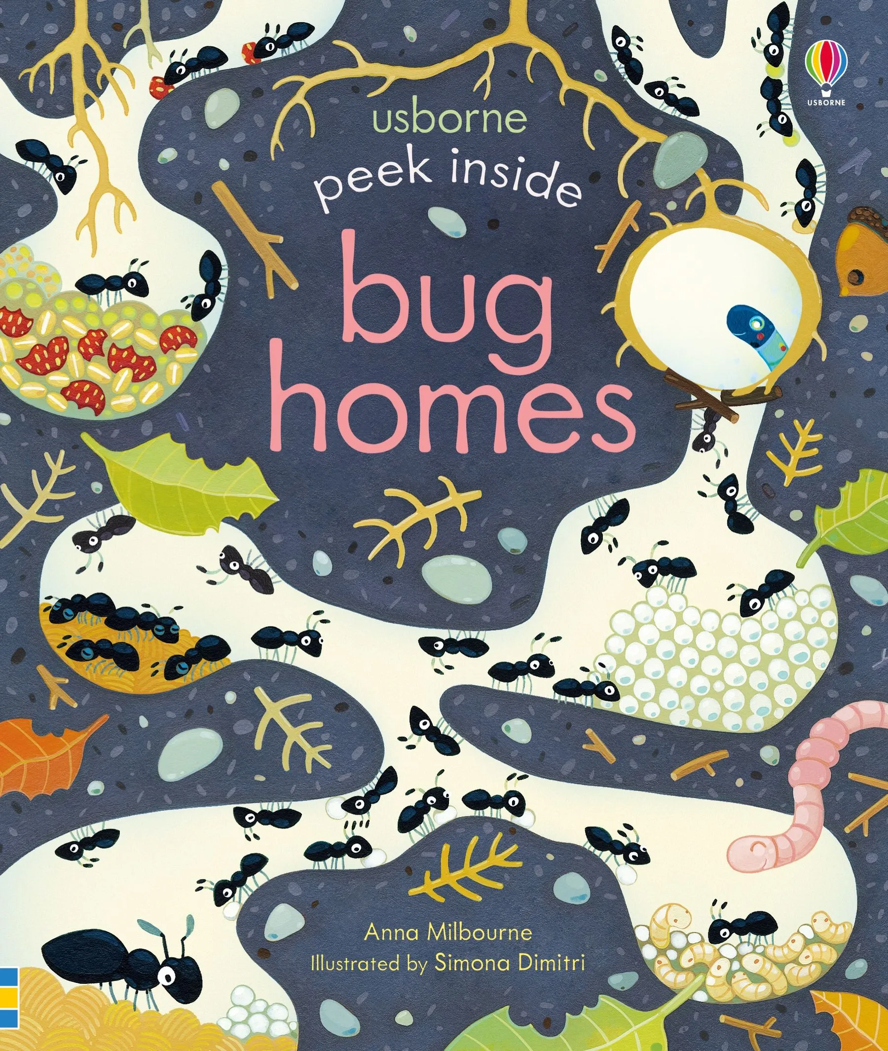 Peek Inside Bug Homes