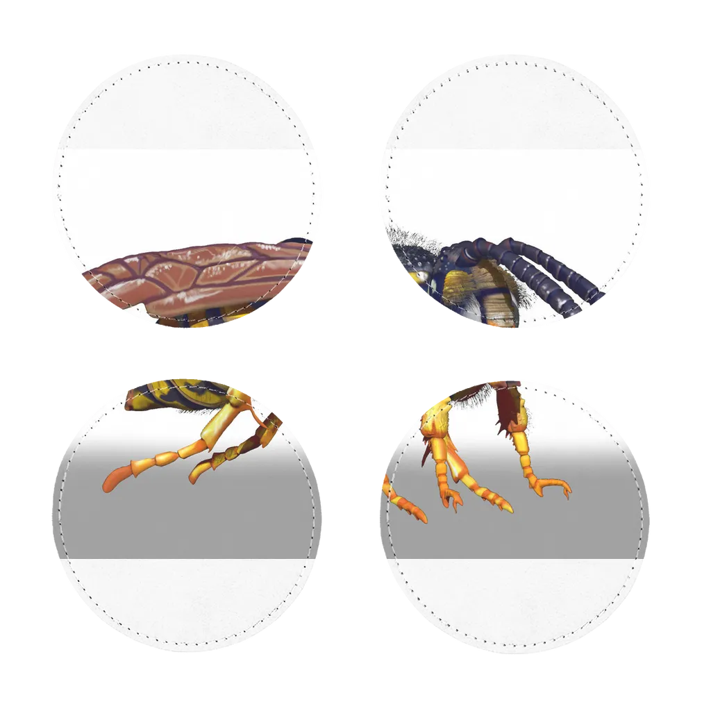 Wasp Character Sublimation Coasters Pack of Four